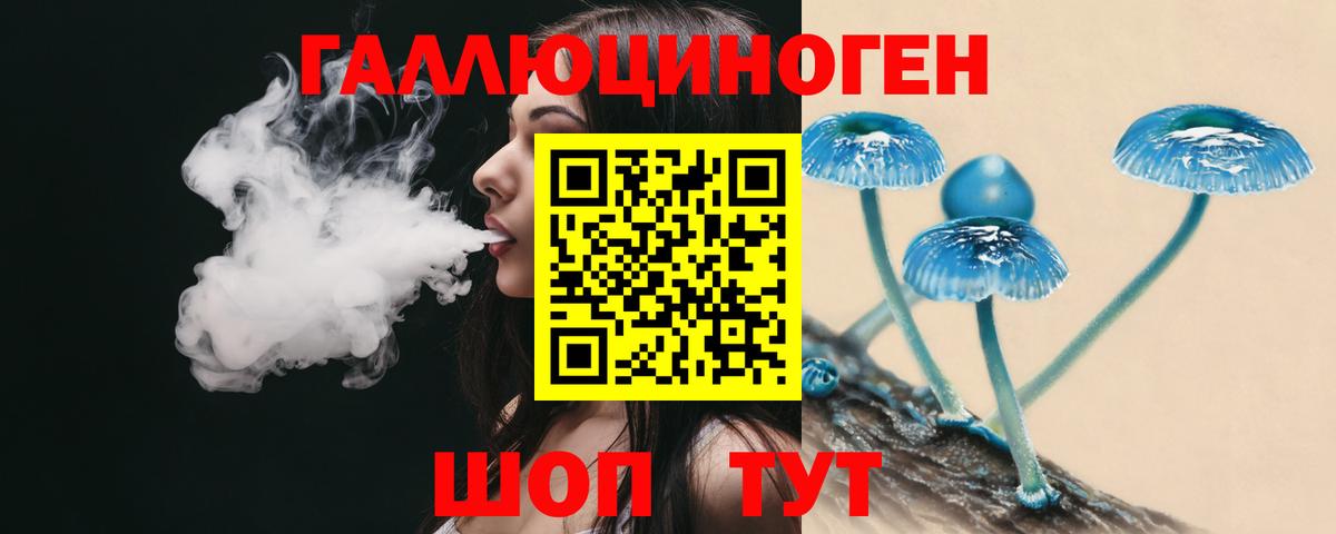 Псилоцибиновые грибы мухоморы Минеральные Воды