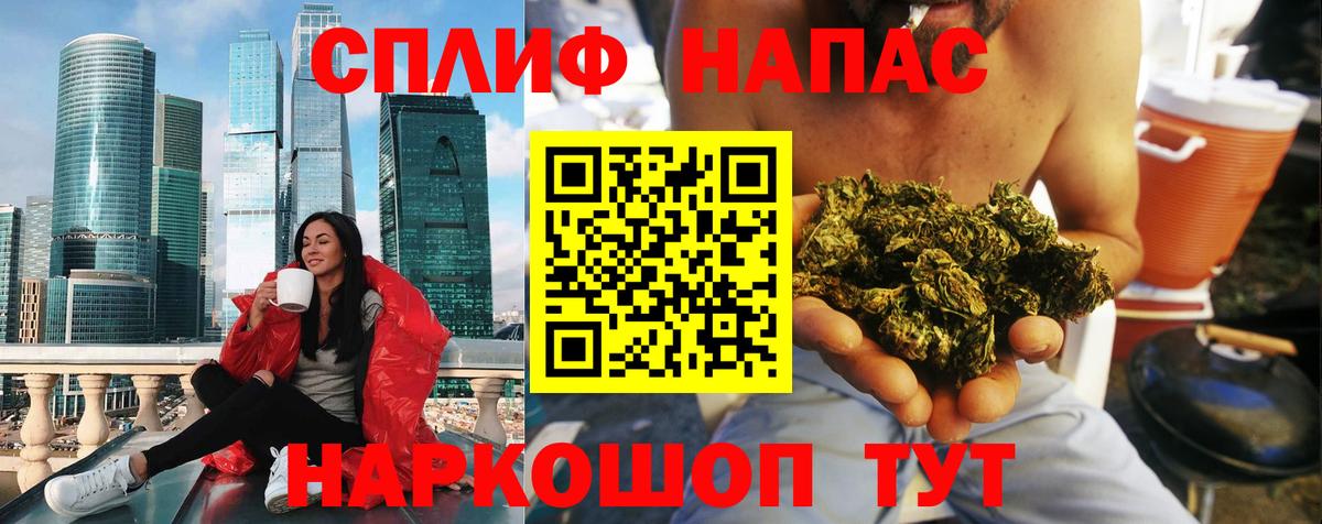 Каннабис план Минеральные Воды